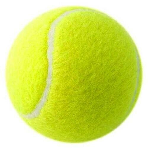 3 6 12 18 NEW Tennis Balls Good Quality Sports Outdoor Fun Cricket Beach Dog UK 
